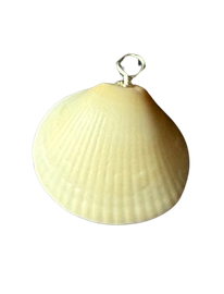 Florida Coast Shell Wire-Wrapped Charm