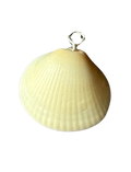 Florida Coast Shell Wire-Wrapped Charm