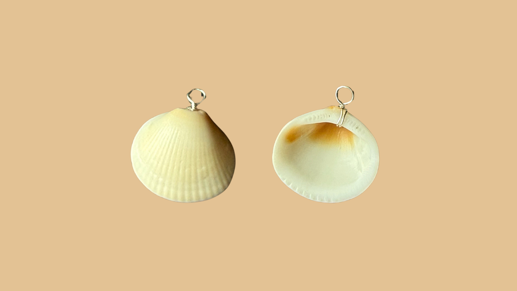 Florida Coast Shell Wire-Wrapped Charm