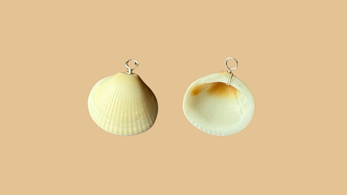 Florida Coast Shell Wire-Wrapped Charm