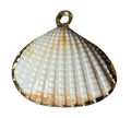 3D Shell Charm With Gold Detail