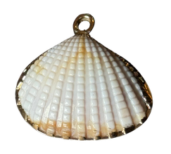 3D Shell Charm With Gold Detail