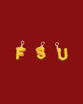 'F.S.U.' Wire-Wrapped Charms Bundle