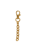 Gold Keychain / Purse Chain
