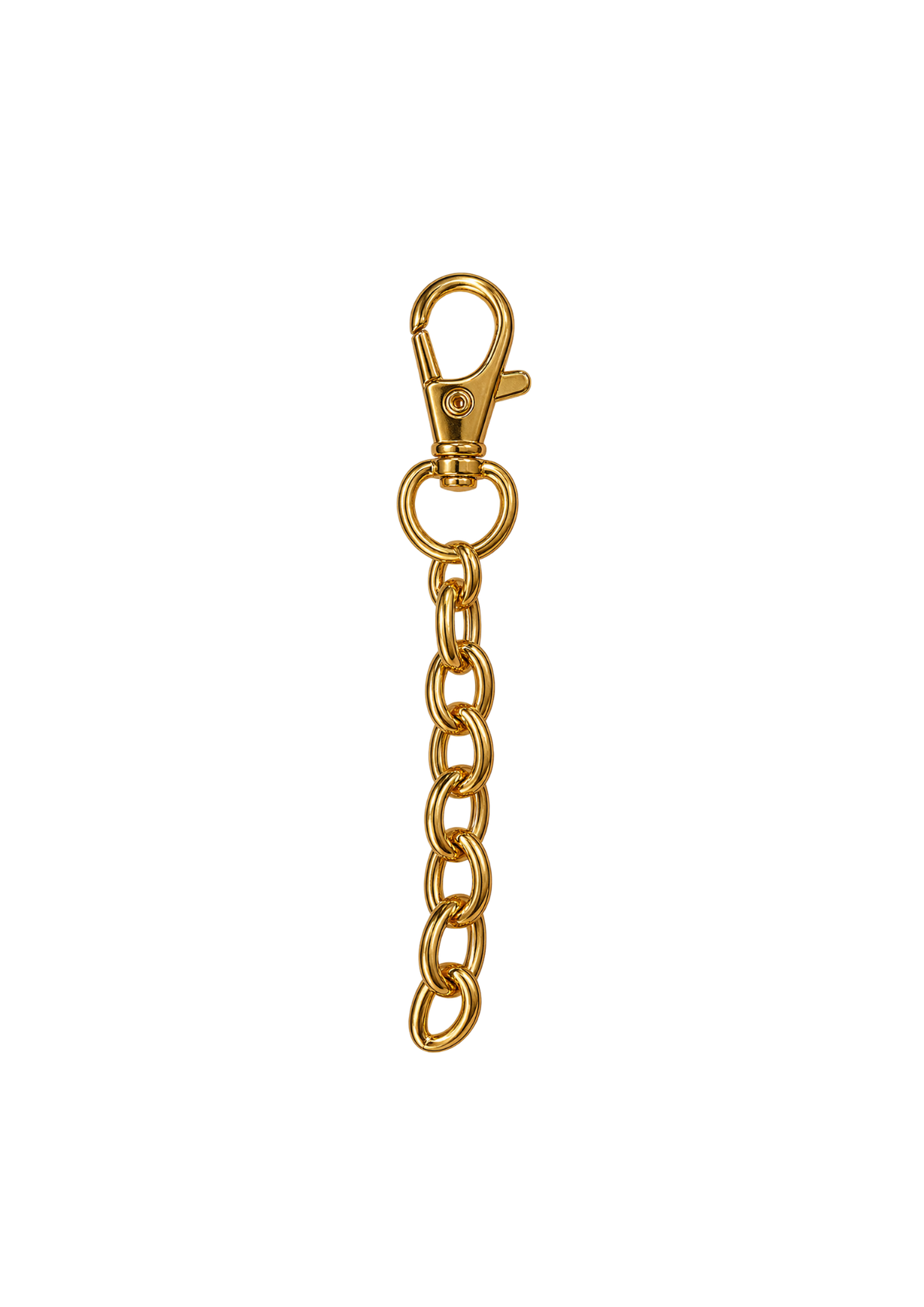 Gold Keychain / Purse Chain