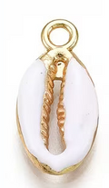 Mini Assorted Shell Charms 3D